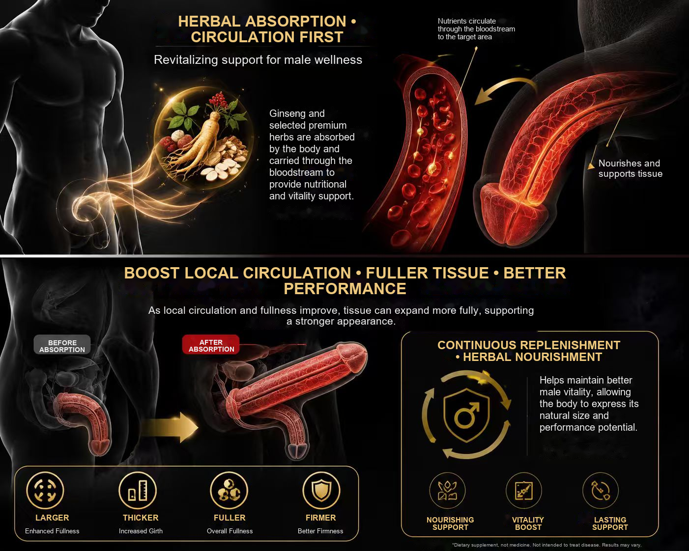 Herbal absorption and circulation support